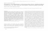 Isolation of endophytic actinomycetes from Catharanthes roseus … · 2020-01-30 · Short Communication Isolation of endophytic actinomycetes from Catharanthes roseus (L.) G. Don