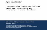 Livelihood Diversification and Vulnerability to Poverty in ... · livelihood diversification strategies in developing countries. Analysing determinants of livelihood diversification