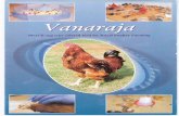 ...rural poultry farming can also alleviate the protein hunger. Project Directorate on Poultry has developed a dual-purpose chicken variety i.e. Vanaraja which gives eggs and meat