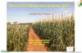 Pearl millet improvement program- WCA...In world the pearl millet crop ranks sixth in importance followed by wheat, rice, maize, barley and sorghum. Staple food and fodder crop in