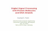 DSP with Protein Molecules and DNA Strands · 2018-04-03 · Digital Signal Processing with Protein Molecules and DNA Strands Keshab K. Parhi Electrical and Computer Engineering University