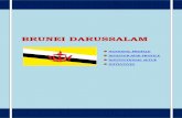 Brunei Darussalam - NIDM : Homenidm.gov.in/.../pdf/country_profile/brunei_darussalam.pdf1. NATIONAL PROFILE 1.1 General1, 2, 3 The small country of Brunei Darussalam, officially the