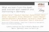 What we learn from the dead: post-mortem wolf research and ... · What we learn from the dead: post-mortem wolf research and monitoring in Germany Heribert Hofer#, Claudia A. Szentiks*,