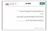 Iron & Steel -11th Nov - indiaenvironmentportalTechnology Compendium on Energy Saving Opportunitie1 s – Iron & Steel 2 Foreword by Director General – Bureau of Energy Efficiency