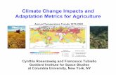 Climate Change Impacts and Adaptation Metrics for Agriculture · Climate Change Impacts and Adaptation Metrics for Agriculture Cynthia Rosenzweig and Francesco Tubiello Goddard Institute