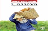 Save and grow: Cassava · SAVE AND GROW: CASSAVA FAO ˜is guide is the ˚rst on the practical application of FAO’s “Save and Grow” model of agriculture to speci˚c