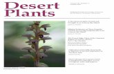 Volume 33, Number 1 Plantsherbario.uson.mx/wp-content/uploads/2019/12/Felger_et_al... · 2019-12-06 · Corallorhiza striata var. vreelandii Photo: James T. Verrier Desert Plants