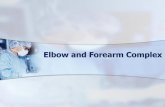Elbow and Forearm Complexcontents.kocw.net/KOCW/document/2014/gacheon/choiwonho1/3.pdf · Introduction The motions of flexion and extension of the elbow provide a means to adjust