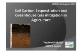 Soil carbon sequestration and greenhouse gas …...Soil C sequestration for mitigation and improving soil productivity: win-win Soil C Soil quality Productivity Climate change mitigation