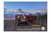 Bioenergy and food security in ASEAN · Bioenergy and food security in ASEAN: A FAO tiAn FAO perspective Beau Damen ... Bioenergy in ASEAN. Bioenergy and food security in ASEAN 3.