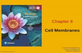 Chapter 8 Cell Membranes - JU Medicine · 2019-09-30 · Life at the Edge The plasma membrane is the boundary that separates the living cell from its surroundings The plasma membrane