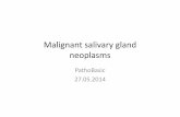 Malignant salivary gland neoplasms - WordPress.com · 5/14/2014  · Malignant salivary gland neoplasms PathoBasic 27.05.2014. Localisation % malignant benign Parotis 80% 20% 80%