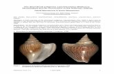 The Stromboid subgenus Laevistrombus (Mollusca: …Neptunea, vol.5, n°1 1 april 2006 1 The Stromboid subgenus Laevistrombus (Mollusca: Strombidae) and its occurrence in the Solomon