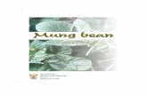 MMung beanung bean · Mung bean is an annual crop, cultivated mostly in rotation with cereals. It is an erect plant which is highly branched and is about 60 to 76 cm tall (Oplinger,