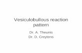 Vesiculobullous reaction pattern...Vesiculobullous reaction pattern •Early lesions should always be biopsied to ensure that a histopathological diagnosis can be made •Once regeneration