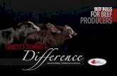 Genetics - Bouchard Livestock€¦ · Fullblood Full Fleck division the Polled Architect bull offers an interesting option. He is a son of Blue Print that is full fleck and homozygous