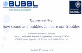 Theracoustics: how sound and bubbles can cure our troubles · Professor Constantin-C. Coussios Director, Institute of Biomedical Engineering , University of Oxford CTO & Founder,