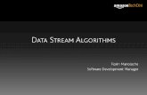 Data Stream Algorithms - romania.amazon.comromania.amazon.com/techon/presentations/Data... · What is a Data Stream? •Large Data Set which is hard to: –Process (by classic algorithms)