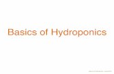 Basics of hydroponics II - Chaos Computer Club · Basics of Hydroponics Basics of Hydroponics - Camp 2015. Me = Alice!! Prosistance activist!! Gerilla gardener!! Social sustainability