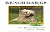 June 2017 - SCWTCAErrata: March enchmarks, page 9, article credits; the G and Star Puppy author is Ashley ... Champion and Performance Titles : 30-32 . Wheaten Health News (WHN) by