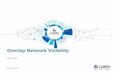 Overlay Network Visibility - cubro.com · 2-Tier Scale-Up Overlay Network: Flatten the network architecture from 3 tiers down to 2 tiers, i.e. tall spine and leaf tiers, to reduce