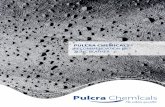 ZDHC Leather Brochure en 2018 - Pulcra-Chemicals · LEATHER Leather auxiliaries for all processes in the leather and fur industries PERFORMANCE Performance products for a wide variety