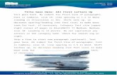 Sheet template_CB…  · Web viewcategory hereand hereTitle Goes Here: All First Letters UpText goes here. No indent for first line of paragraphs. Font is Cambria, size 14. Line