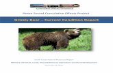 Grizzly Bear – Current Condition Report · The Howe Sound Cumulative Effects Project represents the provinces initial application of the Cumulative Effects Framework in FLNRORDs
