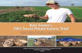 2012 Sweet Potato Variety Trial - Kerr Centerkerrcenter.com/wp-content/uploads/2014/02/sweet-potato... · Kerr Center's 2012 Sweet Potato Variety Trial George Kuepper,Horticulture