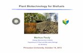 Plant Biotechnology for Biofuels...Energy Biosciences Institute Department of Plant and Microbial Biology UC Berkeley Plant Biotechnology for Biofuels Princeton University, October