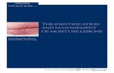 The identification and management of moisture … moisture...244 Wounds UK 2012, Vol 12, No 12 RESEARCH UPDATE Wound digest In each Wounds UK supplement, the digest summarises, in