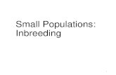 Small Populations: InbreedingInbreeding •Mating between related individuals •Individual instances •generally outbreeding population; one-off matings of related individuals •Regular