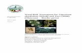 Weed Risk LigustrumWeed Risk Assessment for Ligustrum obtusifolium Siebold and Zucc.(1846) (Oleaceae) – Border privet Ver. 1 April 13, 2015 2 Ligustrum obtusifolium Siebold and Zucc.-