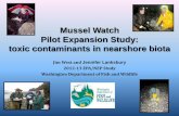 Mussel Watch Pilot Expansion Study: toxic contaminants in ... · Mussel Watch Pilot Expansion Study: toxic contaminants in nearshore biota Jim West and Jennifer Lanksbury 2012-13