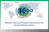 KDIGO Clinical Practice Guideline for Acute Kidney InjuryKidneyDisease:’Improving’Global’Outcomes’ Rationale for an AKI Guideline • AKI is prevalent • AKI is amenable to