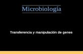 Microbiología · •Conjugative plasmid Carries genes for sex pili and transfer of the plasmid •Dissimilation plasmids Encode enzymes for catabolism of unusual compounds