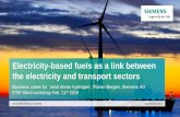 Electricity-based fuels as a link between the electricity ... · February 2019 Florian Bergen, PG SC Electricity-based fuels could be a future important link between the electricity