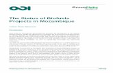 › sites › odi.org.uk › files › odi-assets › ... · The Status of Biofuels Projects in Mozambique2019-11-11 · The Status of Biofuels Projects in Mozambique Author: Boris