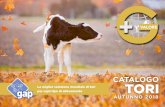 AUTUNNO 2018...TOP SELECTION CATALOGO TORI AUTUNNO 2018 G-PLUS CANDID CHARGER Montross x Supersire x Observer VG89 aAa351246 aAa342 Mr Candid ET US000074414125 US003133371318 PRODUZIONE