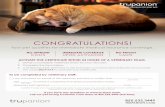 CONGRA TULA TIONS! - Carolina Poodle Rescuecarolinapoodlerescue.org/wp-content/uploads/2018/01/Trupanian-Pet-Insurance.pdfCONGRA TULA TIONS! Y our pet qualifie s for immediate m edical
