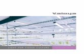 LIGHT FOR TISSUE CULTURE - Valoya LED Grow …Valoya Products for Tissue Culture Easy to Install Valoya LED lights are durable, safe and easy to install. We will assist you in choosing