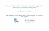 On numerical simulations of nonlinear convection-aggregation … · 2014-06-30 · On numerical simulations of nonlinear convection-aggregation equations by evolving di eomorphisms
