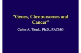 “Genes, Chromosomes and Cancer” · miR-9, a MYC/MYCN-activated microRNA, regulates E-cadherin and cancer metastasis • It is upregulated in breast cancer cells, directly targets