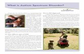 What is Autism Spectrum Disorder? · Autism spectrum disorder (ASD) is a neurodevelopmental disorder defined by persistent deficits in social communication and social interaction,