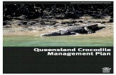 Queensland Crocodile Management Plan...Queensland Crocodile Management Plan NCS/2017/3507 • Version 1.02 • Effective: 26 June 2017 3 Foreword One of the things Queenslanders, and