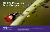 RHS Plants for Bugs Bulletin 2 · Plants for Bugs – Bulletin 1 Previously we have reported on pollinating insects (Bulletin 1). In summary, it was found that the best strategy for