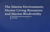 The Marine Environment, Marine Living Resources and Marine ...Definition of pollution in Art 1 - "pollution of the marine environment" means the introduction by man, directly or indirectly,