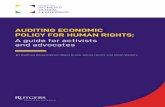 AUDITING ECONOMIC POLICY FOR HUMAN RIGHTS · 2019-12-10 · neoclassical vernacular) and underemployment, suppressed wages, ineffective public services, commodity shortages, and,