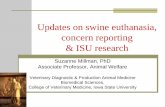 Updates on swine euthanasia, concern reporting & ISU researchWidowski, Millman, Lawliss. National Pork Board project . Figure 1. Stock person averages. Mean (± SEM) duration of leg