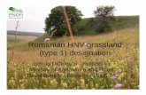 Romanian HNV grassland (type 1) designationRomanian HNV grassland (type 1) designation Sergiu Didicescu - Romanian Ministry of Agriculture and Rural Development - Bruxelles 15.05.08